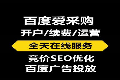 SEM推广公司案例：打造行业领军品牌